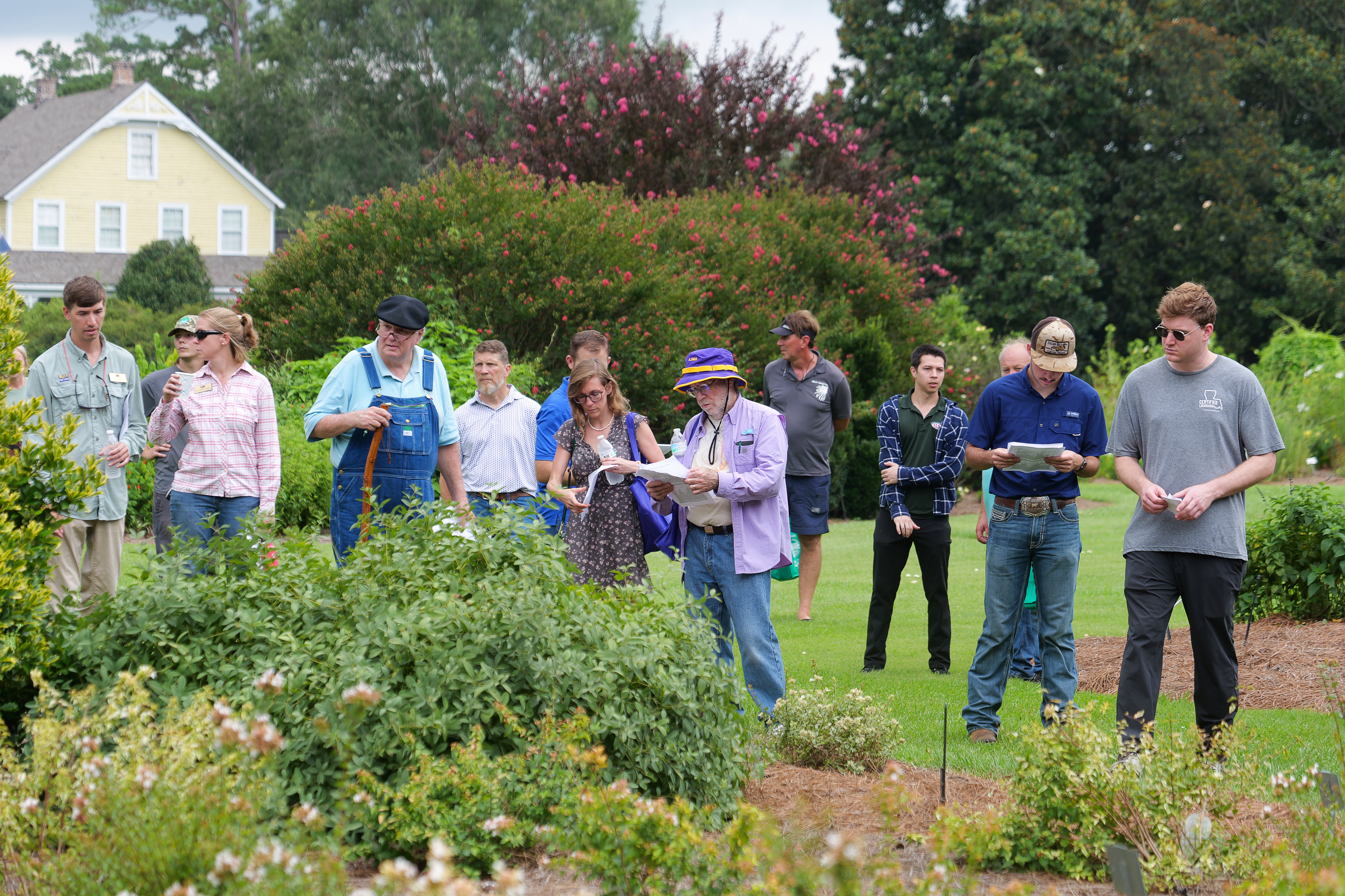 Cloudy skies and cool research: AgCenter field day covers horticulture innovations
